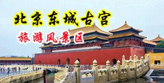 鸡巴艹骚逼中国北京-东城古宫旅游风景区